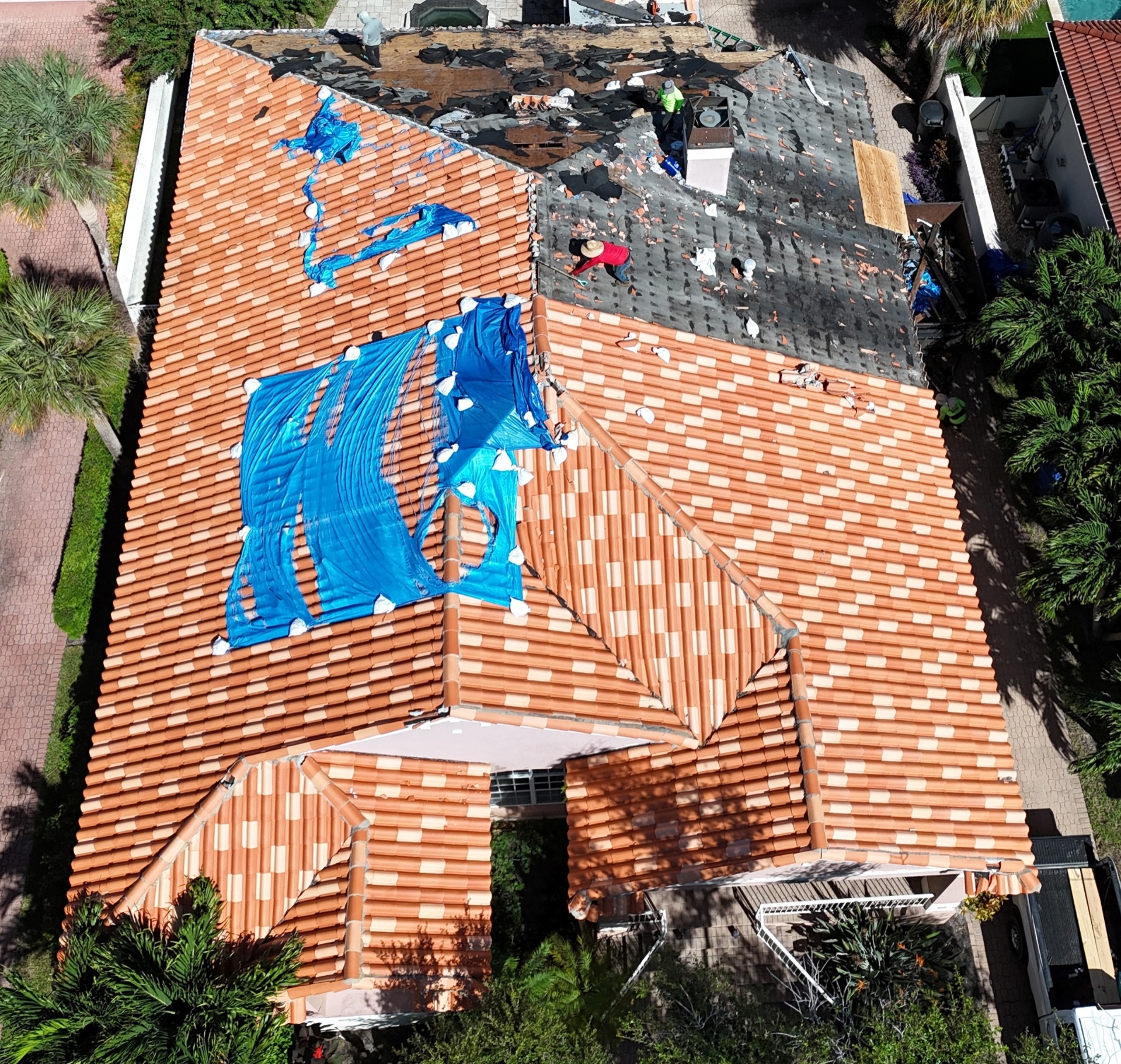 b griffith roofing inc saint petersburg florida 2026 03 18T14 17 20.035229Z 019d014e d08b 7cd1 90e2 4d3eb3d267ae